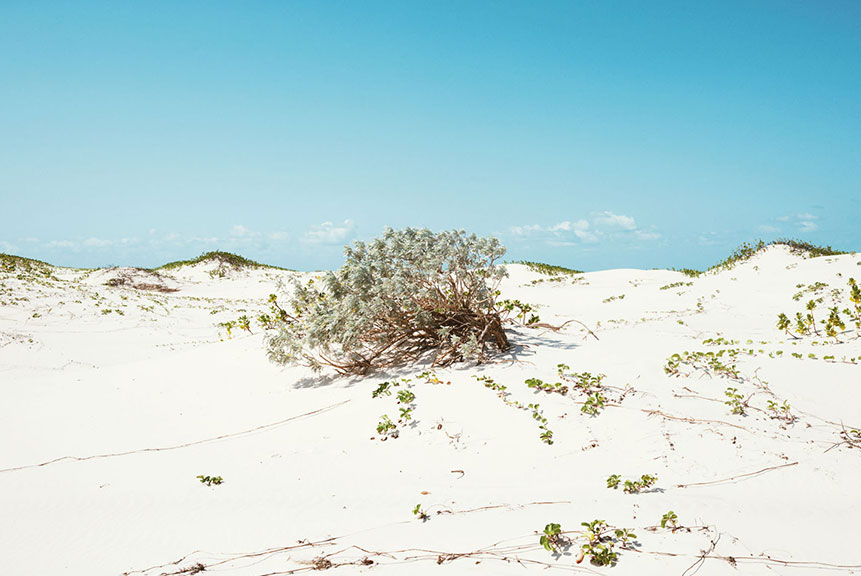 Andrea Ferrari, Photographer, Photography, Mozambique, Landscape